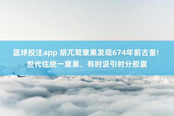 篮球投注app 胡兀鹫窠巢发现674年前古董! 世代住统一窠巢，有时汲引时分胶囊