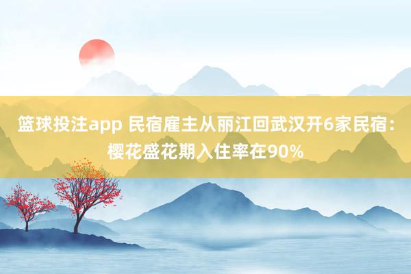 篮球投注app 民宿雇主从丽江回武汉开6家民宿：樱花盛花期入住率在90%