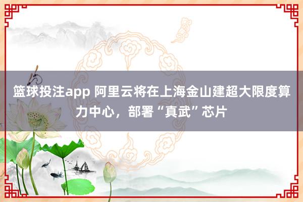 篮球投注app 阿里云将在上海金山建超大限度算力中心，部署“真武”芯片