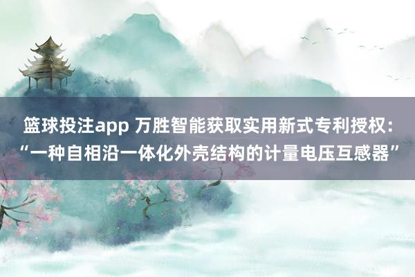 篮球投注app 万胜智能获取实用新式专利授权：“一种自相沿一体化外壳结构的计量电压互感器”