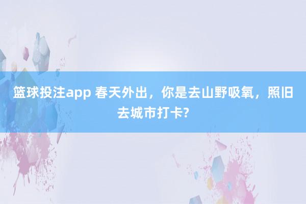 篮球投注app 春天外出，你是去山野吸氧，照旧去城市打卡?