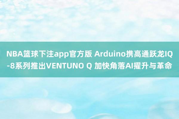 NBA篮球下注app官方版 Arduino携高通跃龙IQ-8系列推出VENTUNO Q 加快角落AI擢升与革命