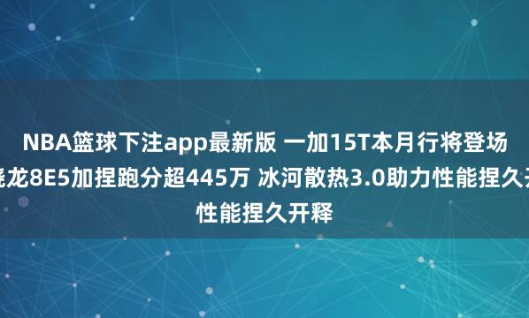 NBA篮球下注app最新版 一加15T本月行将登场：骁龙8E5加捏跑分超445万 冰河散热3.0助力性能捏久开释