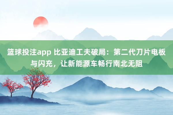 篮球投注app 比亚迪工夫破局：第二代刀片电板与闪充，让新能源车畅行南北无阻