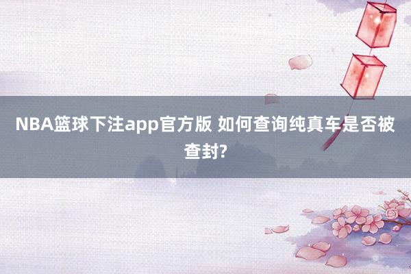 NBA篮球下注app官方版 如何查询纯真车是否被查封?