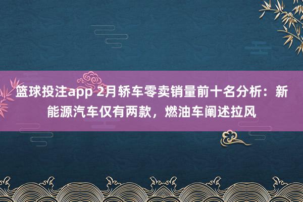 篮球投注app 2月轿车零卖销量前十名分析：新能源汽车仅有两款，燃油车阐述拉风