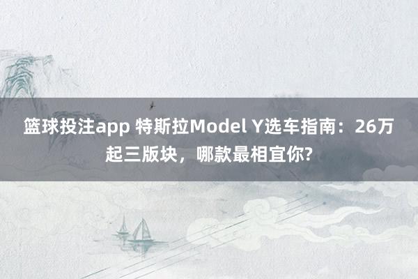 篮球投注app 特斯拉Model Y选车指南：26万起三版块，哪款最相宜你?
