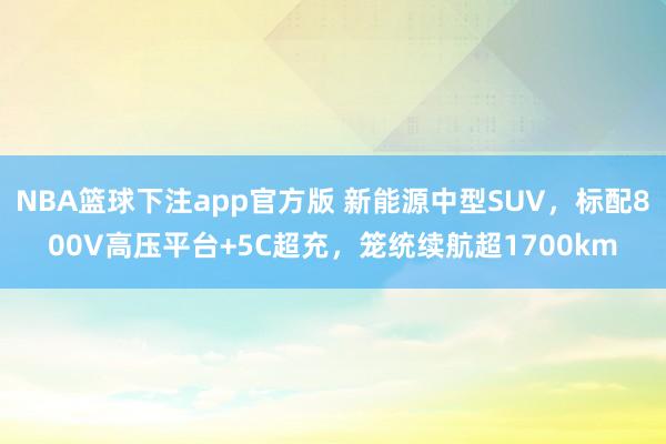NBA篮球下注app官方版 新能源中型SUV，标配800V高压平台+5C超充，笼统续航超1700km