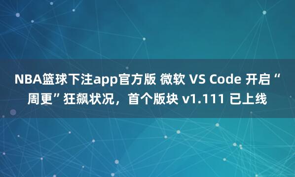 NBA篮球下注app官方版 微软 VS Code 开启“周更”狂飙状况，首个版块 v1.111 已上线