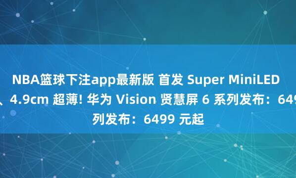 NBA篮球下注app最新版 首发 Super MiniLED 黑晶屏、4.9cm 超薄! 华为 Vision 贤慧屏 6 系列发布：6499 元起