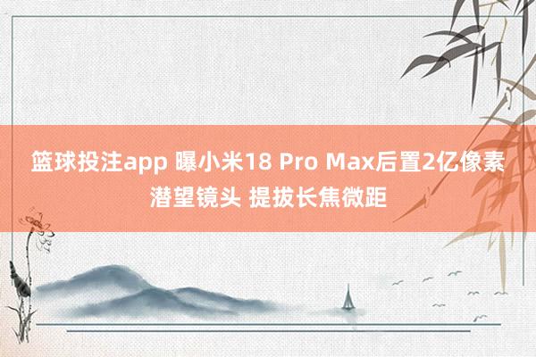 篮球投注app 曝小米18 Pro Max后置2亿像素潜望镜头 提拔长焦微距