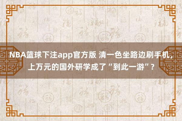 NBA篮球下注app官方版 清一色坐路边刷手机，上万元的国外研学成了“到此一游”?