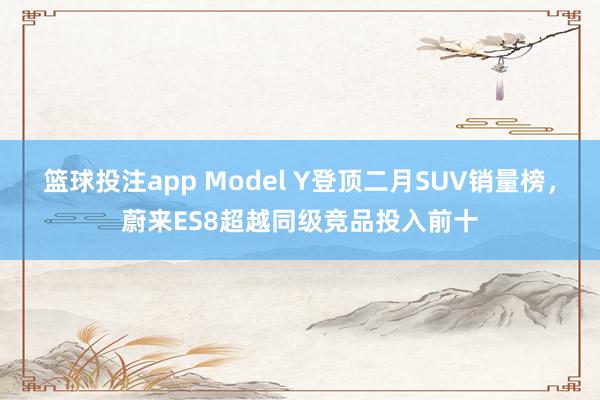 篮球投注app Model Y登顶二月SUV销量榜，蔚来ES8超越同级竞品投入前十