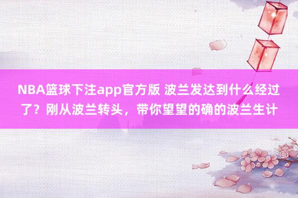 NBA篮球下注app官方版 波兰发达到什么经过了？刚从波兰转头，带你望望的确的波兰生计