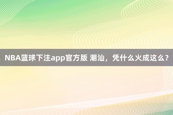 NBA篮球下注app官方版 潮汕，凭什么火成这么？