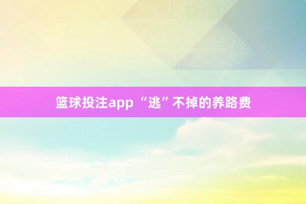 篮球投注app “逃”不掉的养路费