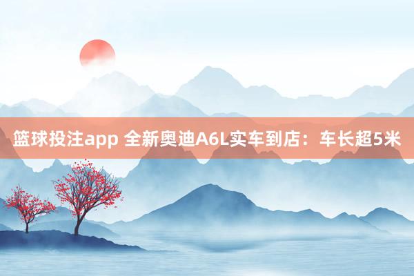 篮球投注app 全新奥迪A6L实车到店：车长超5米