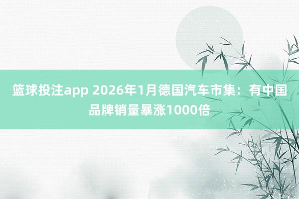 篮球投注app 2026年1月德国汽车市集：有中国品牌销量暴涨1000倍