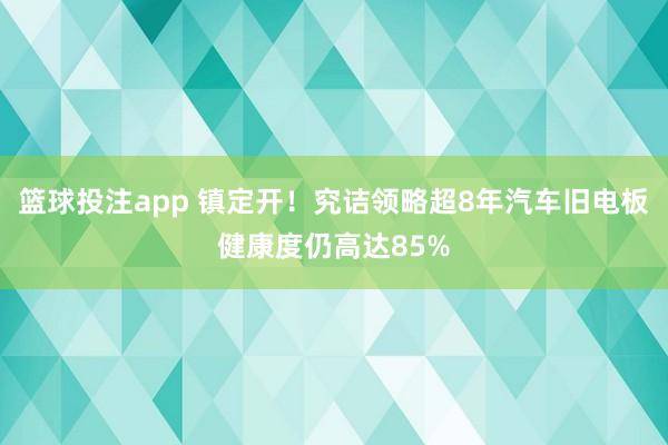 篮球投注app 镇定开！究诘领略超8年汽车旧电板健康度仍高达85%