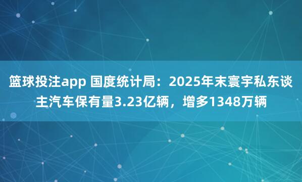 篮球投注app 国度统计局：2025年末寰宇私东谈主汽车保有量3.23亿辆，增多1348万辆