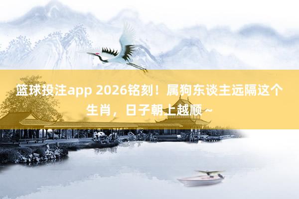 篮球投注app 2026铭刻！属狗东谈主远隔这个生肖，日子朝上越顺～