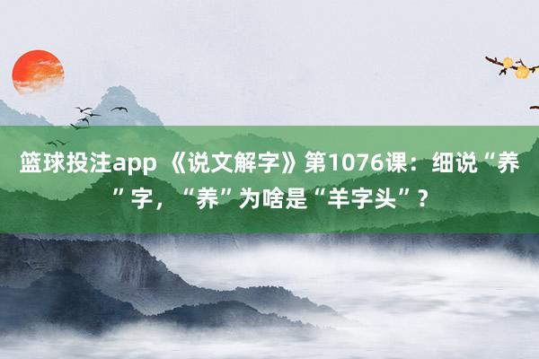 篮球投注app 《说文解字》第1076课：细说“养”字，“养”为啥是“羊字头”？