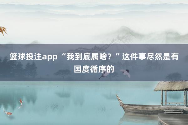 篮球投注app “我到底属啥？”这件事尽然是有国度循序的