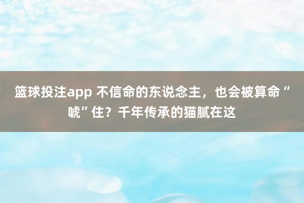 篮球投注app 不信命的东说念主，也会被算命“唬”住？千年传承的猫腻在这