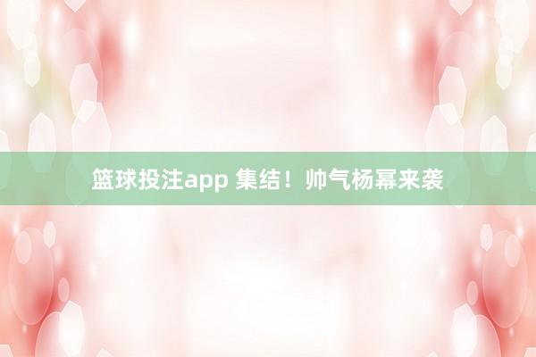 篮球投注app 集结！帅气杨幂来袭