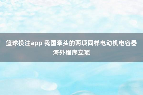 篮球投注app 我国牵头的两项同样电动机电容器海外程序立项