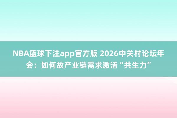 NBA篮球下注app官方版 2026中关村论坛年会：如何故产业链需求激活“共生力”