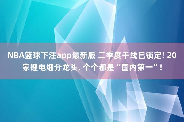 NBA篮球下注app最新版 二季度干线已锁定! 20家锂电细分龙头， 个个都是“国内第一”!