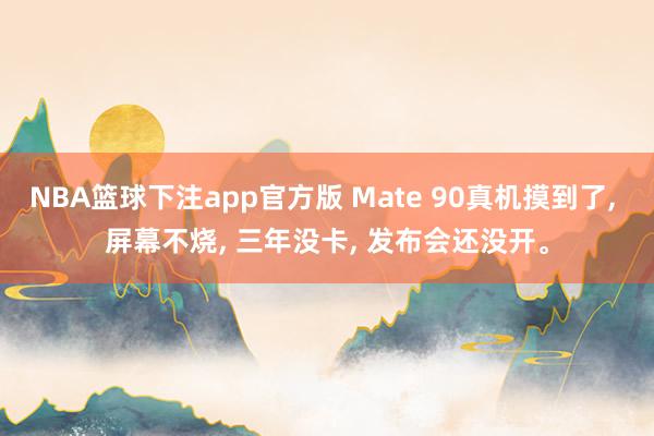 NBA篮球下注app官方版 Mate 90真机摸到了， 屏幕不烧， 三年没卡， 发布会还没开。