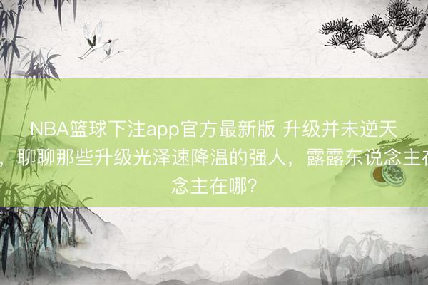 NBA篮球下注app官方最新版 升级并未逆天改命，聊聊那些升级光泽速降温的强人，露露东说念主在哪？