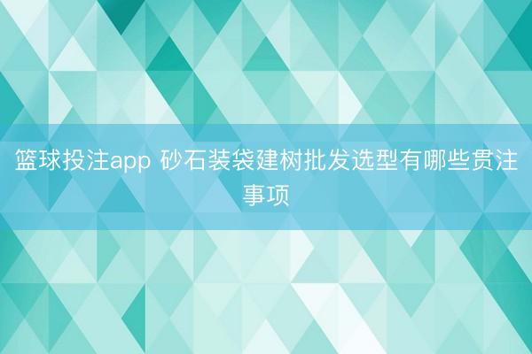 篮球投注app 砂石装袋建树批发选型有哪些贯注事项