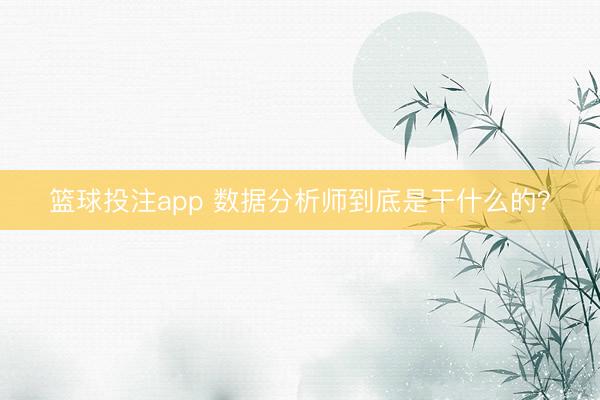 篮球投注app 数据分析师到底是干什么的？