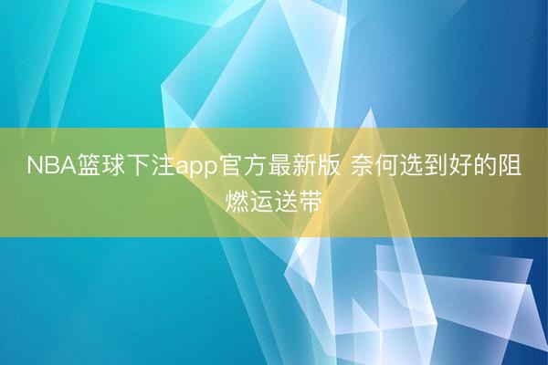 NBA篮球下注app官方最新版 奈何选到好的阻燃运送带