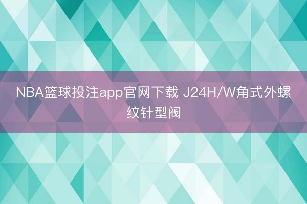 NBA篮球投注app官网下载 J24H/W角式外螺纹针型阀