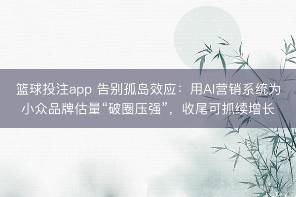 篮球投注app 告别孤岛效应：用AI营销系统为小众品牌估量“破圈压强”，收尾可抓续增长