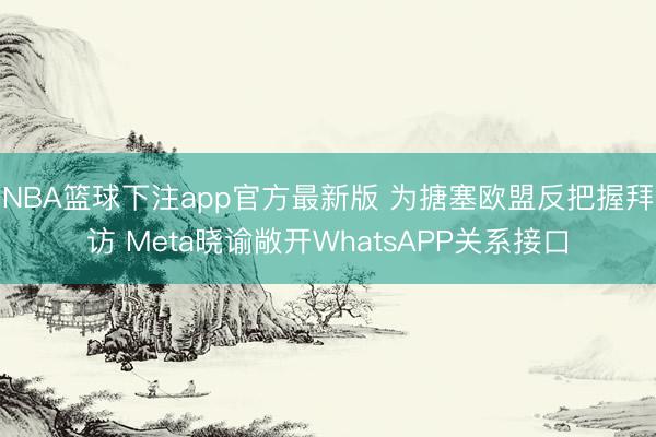 NBA篮球下注app官方最新版 为搪塞欧盟反把握拜访 Meta晓谕敞开WhatsAPP关系接口