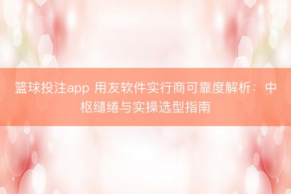 篮球投注app 用友软件实行商可靠度解析：中枢缱绻与实操选型指南