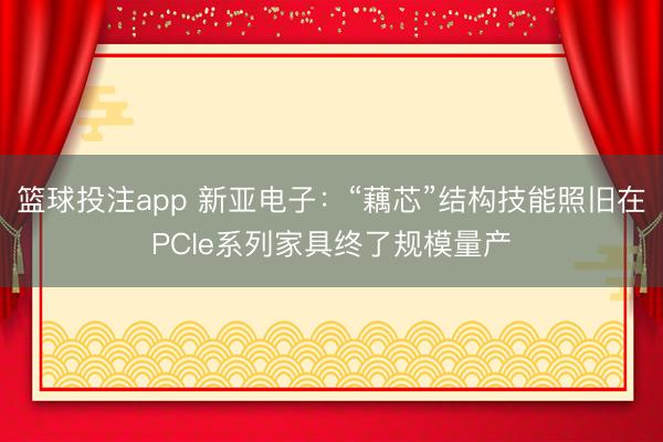 篮球投注app 新亚电子：“藕芯”结构技能照旧在PCIe系列家具终了规模量产