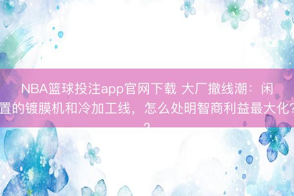 NBA篮球投注app官网下载 大厂撤线潮：闲置的镀膜机和冷加工线，怎么处明智商利益最大化？
