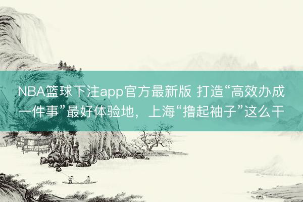 NBA篮球下注app官方最新版 打造“高效办成一件事”最好体验地，上海“撸起袖子”这么干