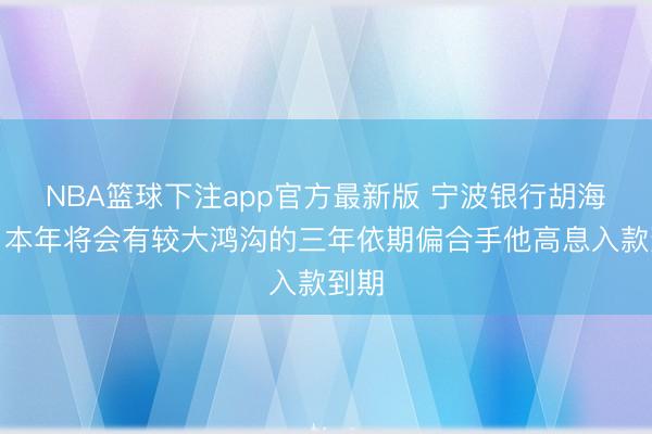 NBA篮球下注app官方最新版 宁波银行胡海东:本年将会有较大鸿沟的三年依期偏合手他高息入款到期