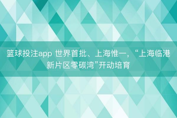 篮球投注app 世界首批、上海惟一，“上海临港新片区零碳湾”开动培育