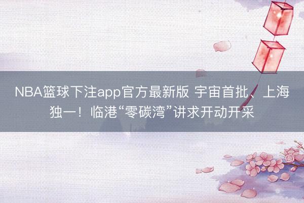 NBA篮球下注app官方最新版 宇宙首批、上海独一！临港“零碳湾”讲求开动开采