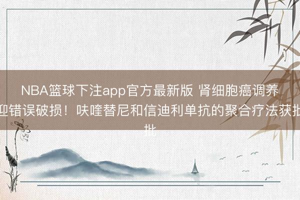 NBA篮球下注app官方最新版 肾细胞癌调养迎错误破损！呋喹替尼和信迪利单抗的聚合疗法获批
