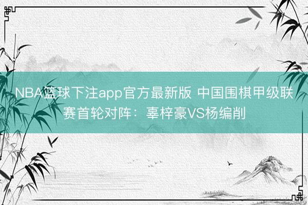 NBA篮球下注app官方最新版 中国围棋甲级联赛首轮对阵：辜梓豪VS杨编削