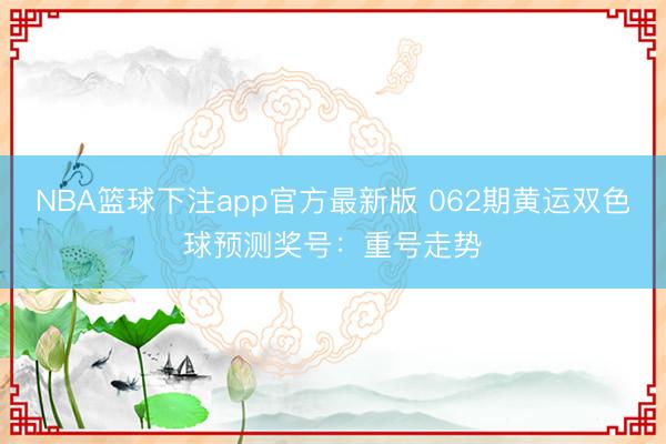 NBA篮球下注app官方最新版 062期黄运双色球预测奖号：重号走势
